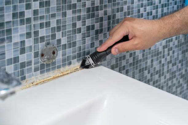 Best Affordable Mold Removal  in Greenvle, IL