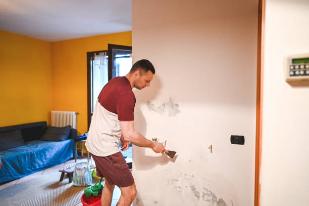Best Office Mold Removal Services  in Greenvle, IL